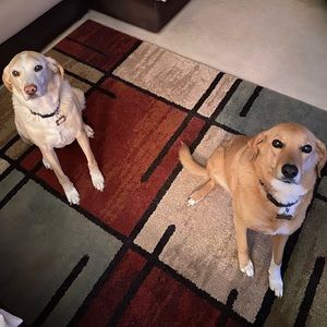 Meet your Posher, Jeff